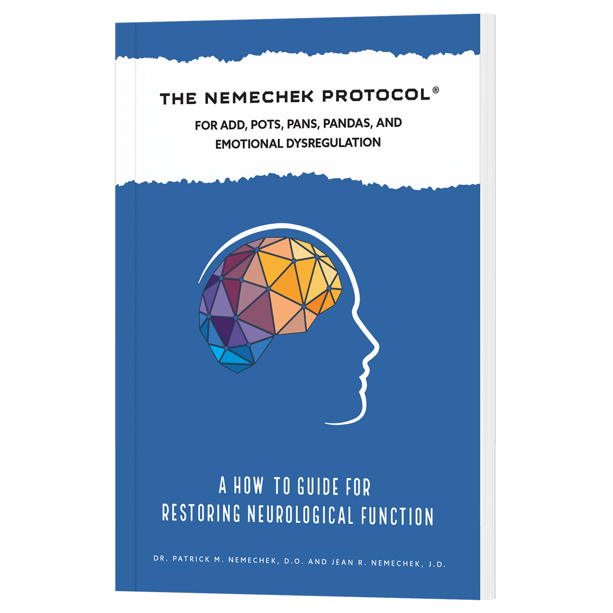 The cover of the book titled 'The Nemechek Protocol, For ADD, POTS, PANS, PANDAS and Emotional Dysregulation', featuring a graphic of a brain with a geometric pattern inside, set against a blue background.