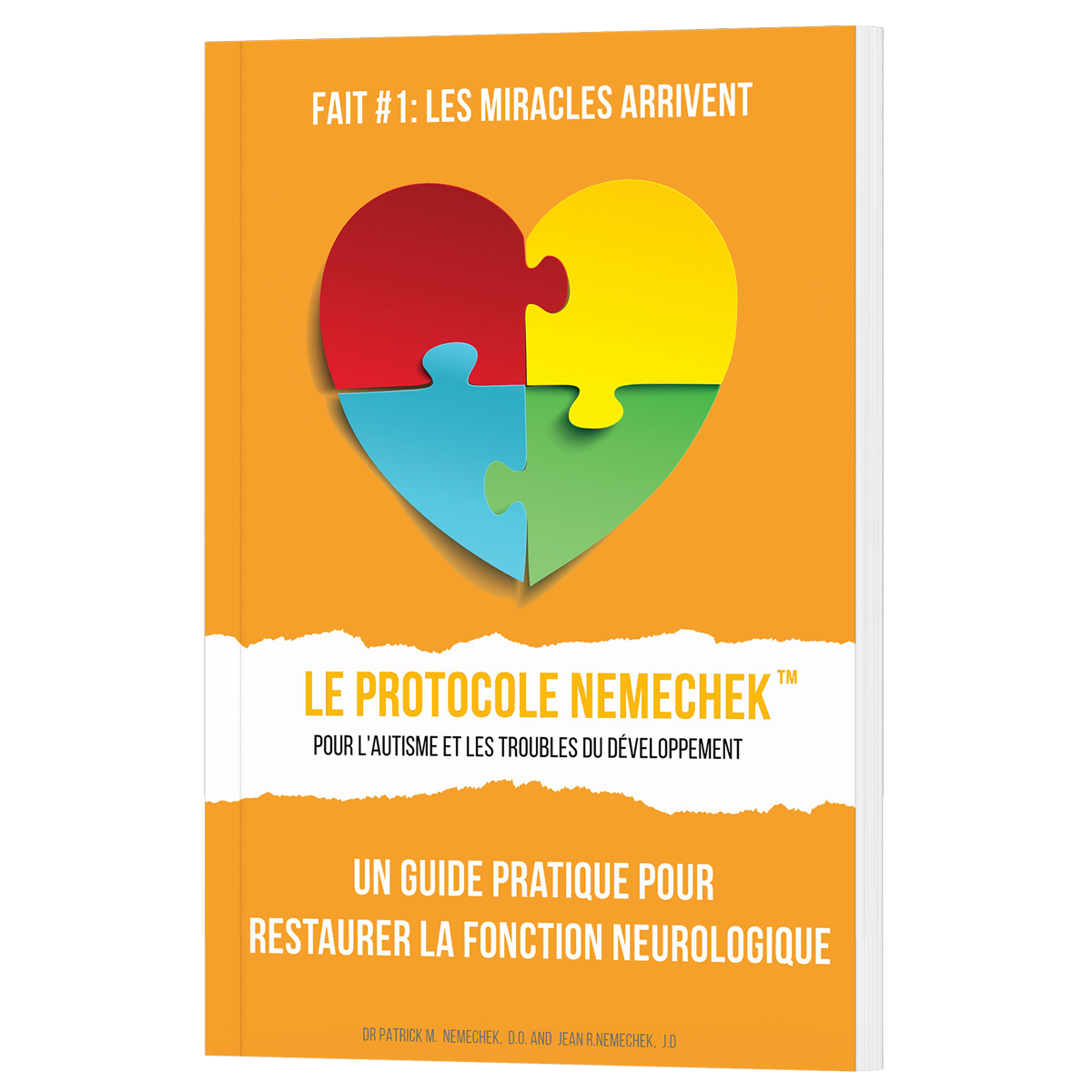 1ère édition (Libro en rústica francés) Le Protocole de Nemechek Pour L&#39;autisme et le Retard de Développement