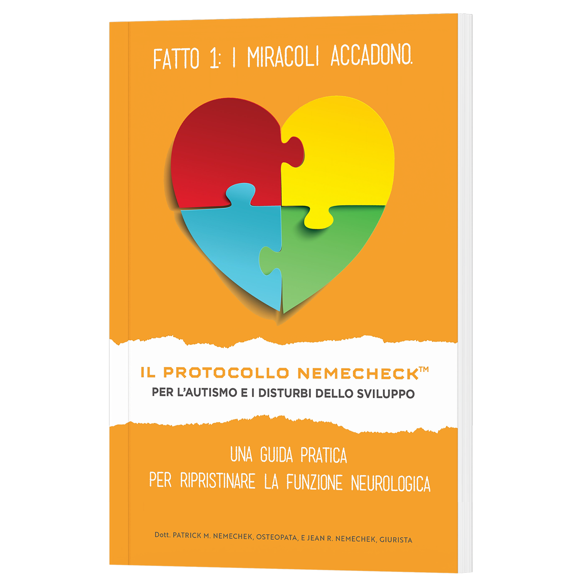 1a edizione (Italian Paperback) Il Protocollo Nemechek Per L’autismo E Ritardo Dello Sviluppo