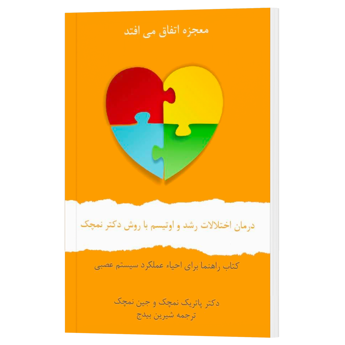 1ª Ed., (Persa -Farsi PDF) کتاب درمان اختلالات رشد و اوتیسم با روش دکتر نمچک- ویرایش نخست- نسخه پی دی اف فارسی .