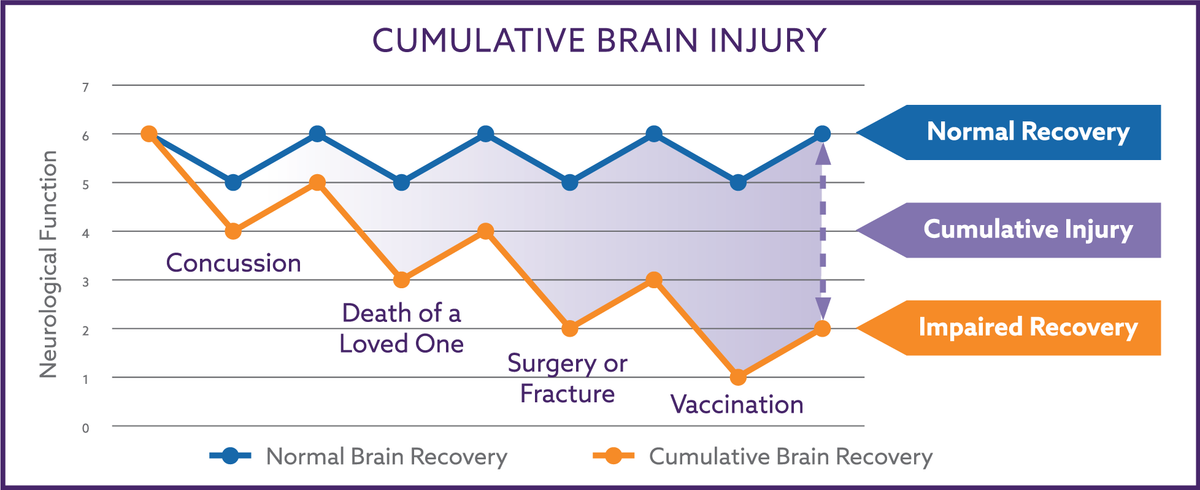 2nd Ed., The Nemechek Protocol for Autism and Developmental Disorders