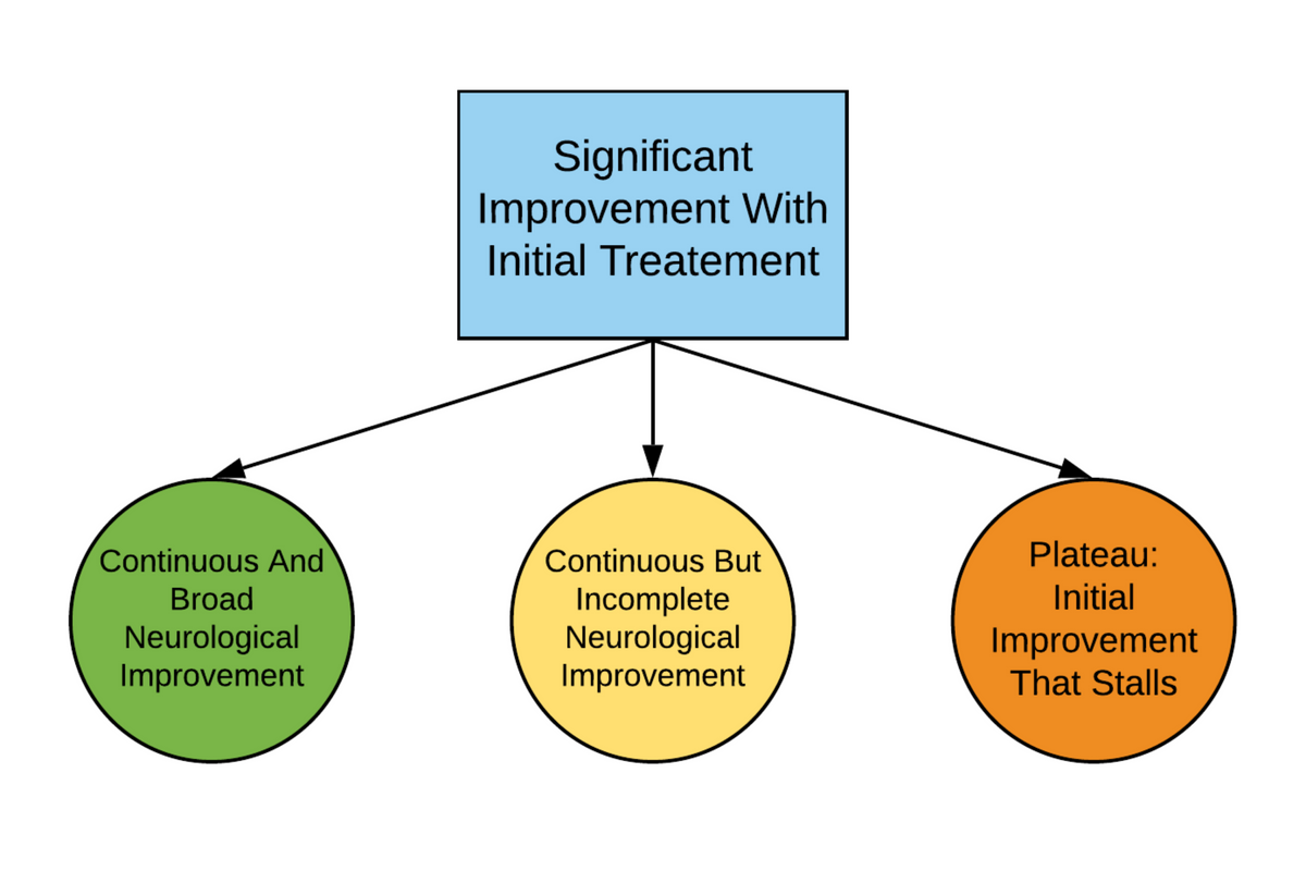 2nd Ed., The Nemechek Protocol for Autism and Developmental Disorders